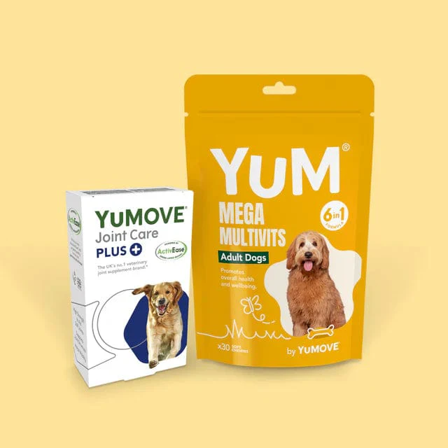 Adult Dog Bundle Lite (Large) - Image 3